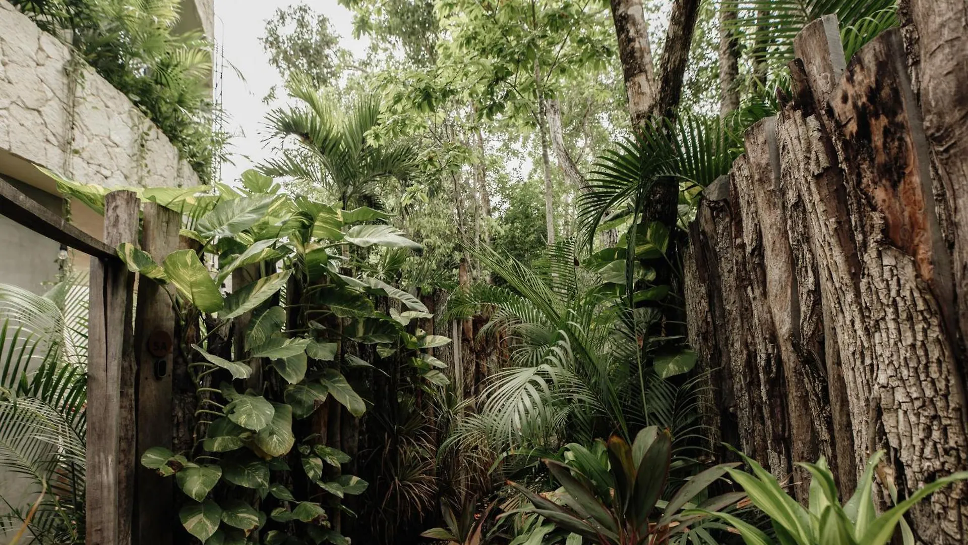 Jungle Boho Villa - Pv Pool - Bbq - Concierge 5A Tulum