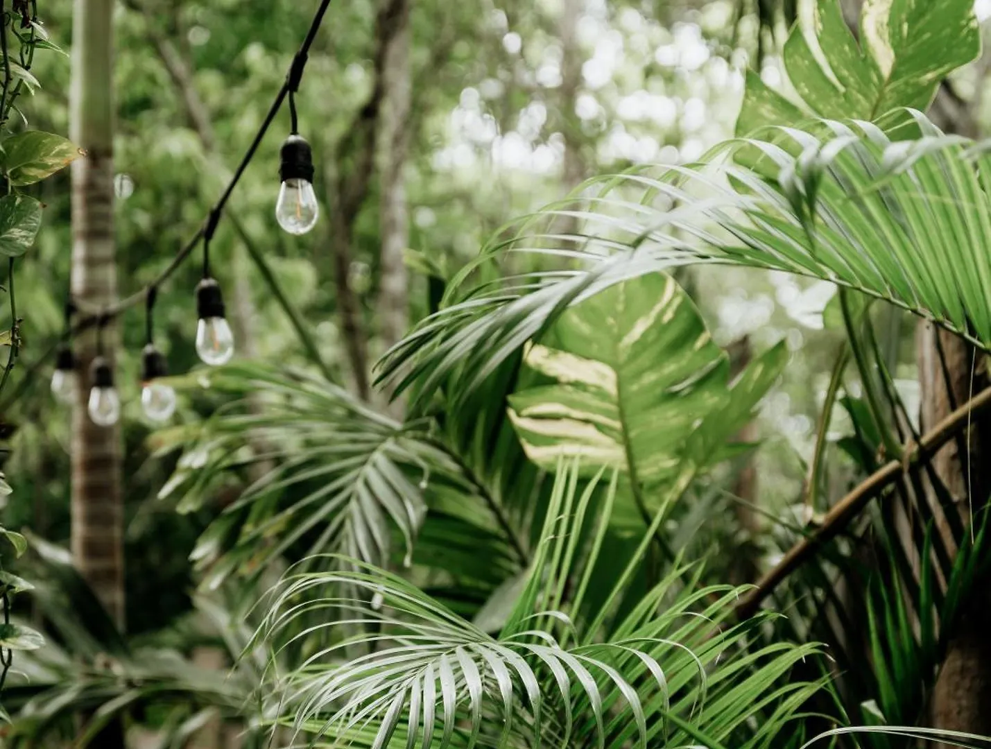 Jungle Boho Villa - Pv Pool - Bbq - Concierge 5A Tulum