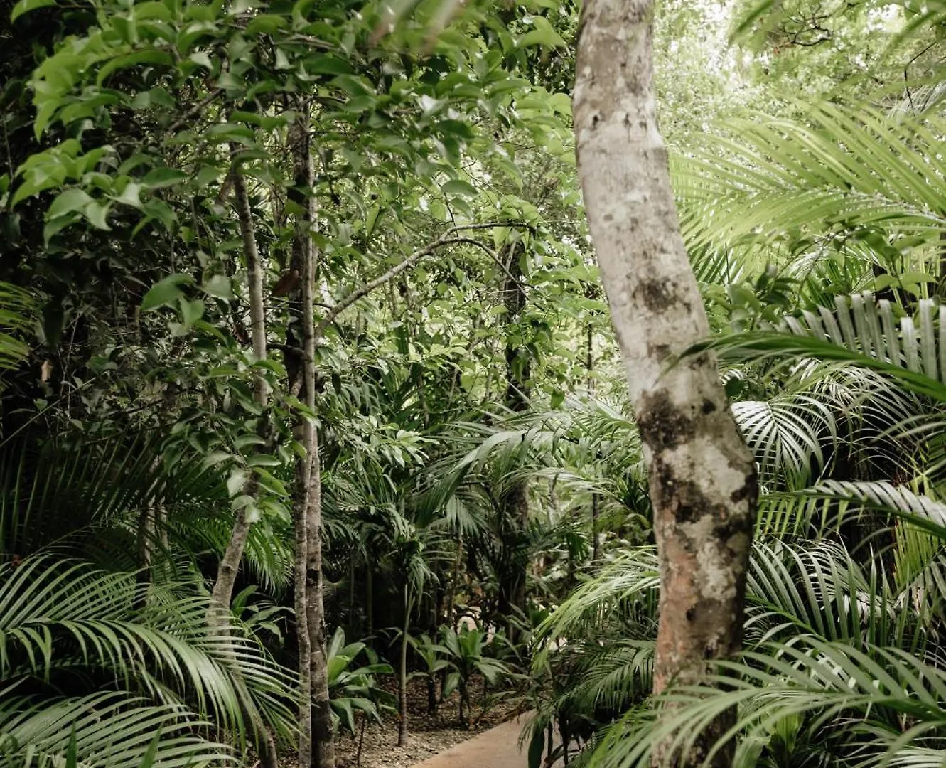 Jungle Boho Villa - Pv Pool - Bbq - Concierge 5A Tulum